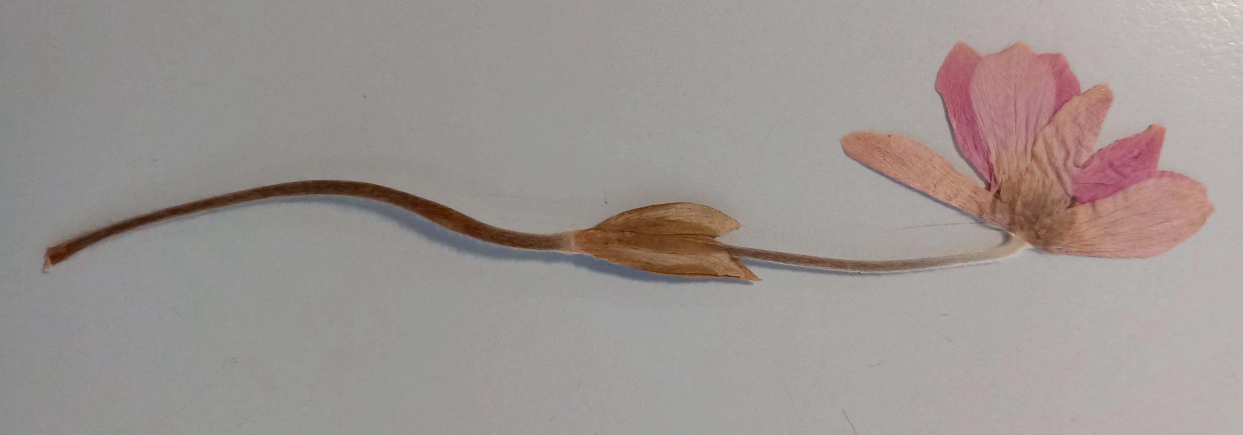 #bbfEinblicke: Lesezeichen